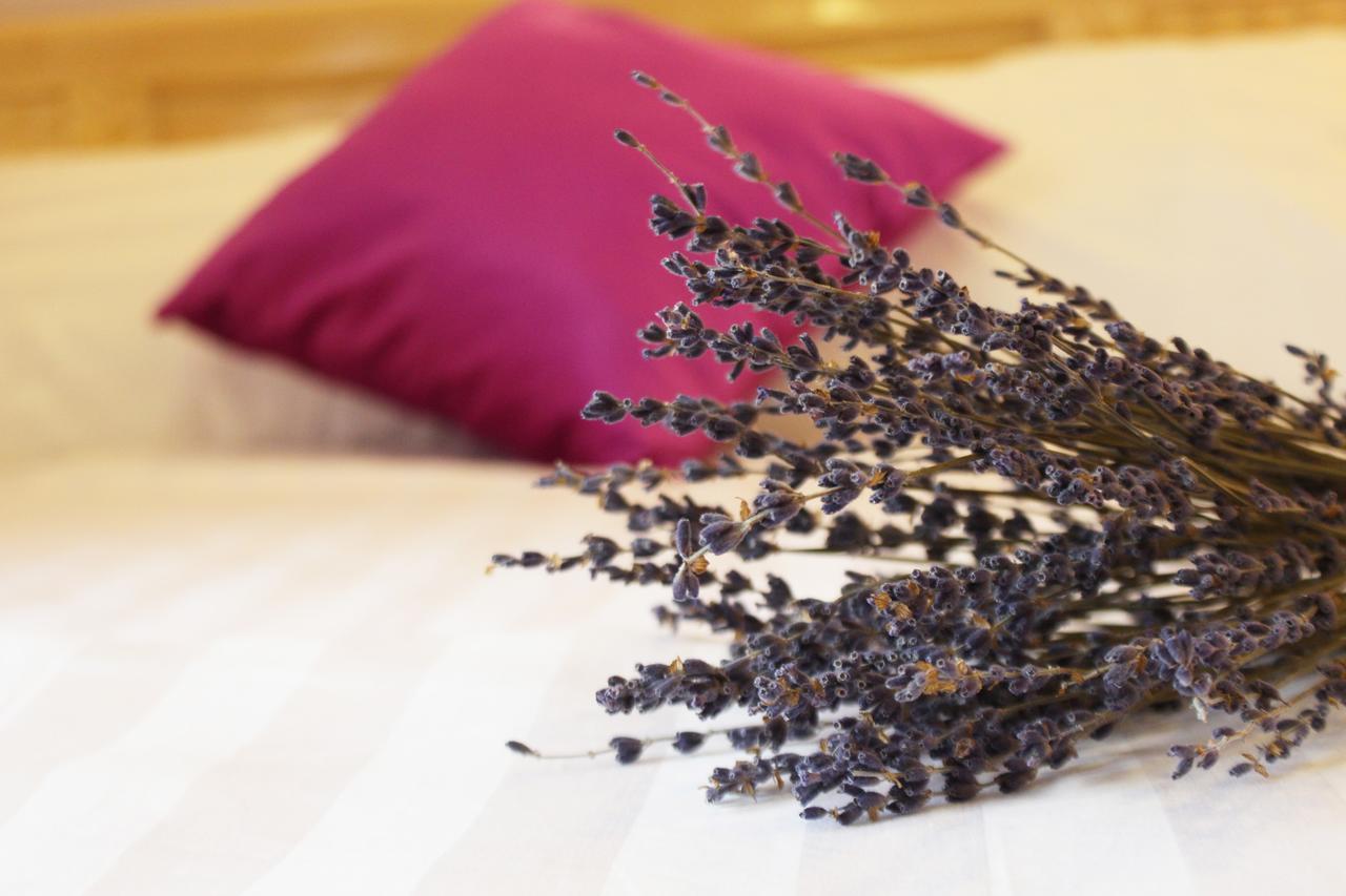Lavender Tim Bed & Breakfast Da Lat Exterior photo